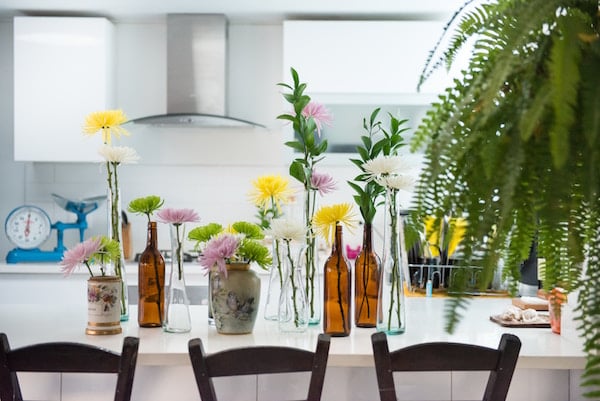 Kitchen with several vases of plants upon the island counter and fern at the side.