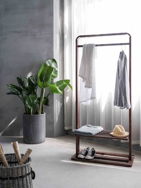 Standalone closet with clothes and plant