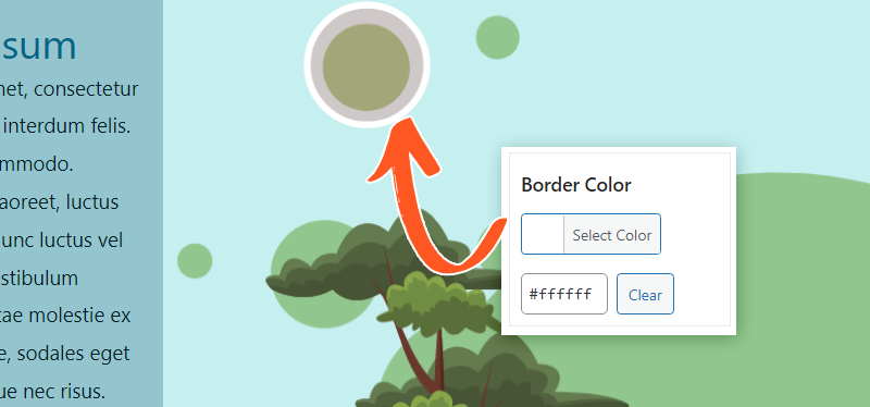 Border color