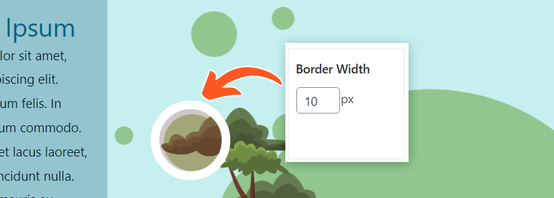 Border width