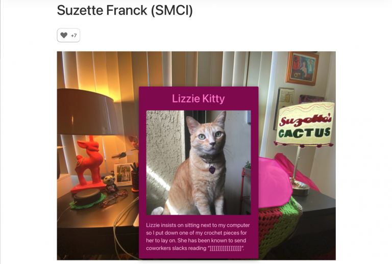 Screenshot of Suzette's workspace, highlighting her cat Lizzie.